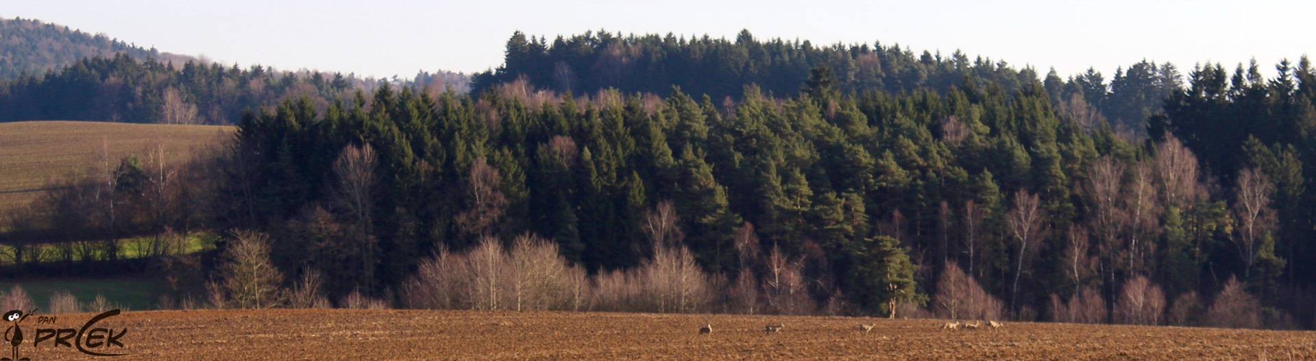 Panorama10.jpg